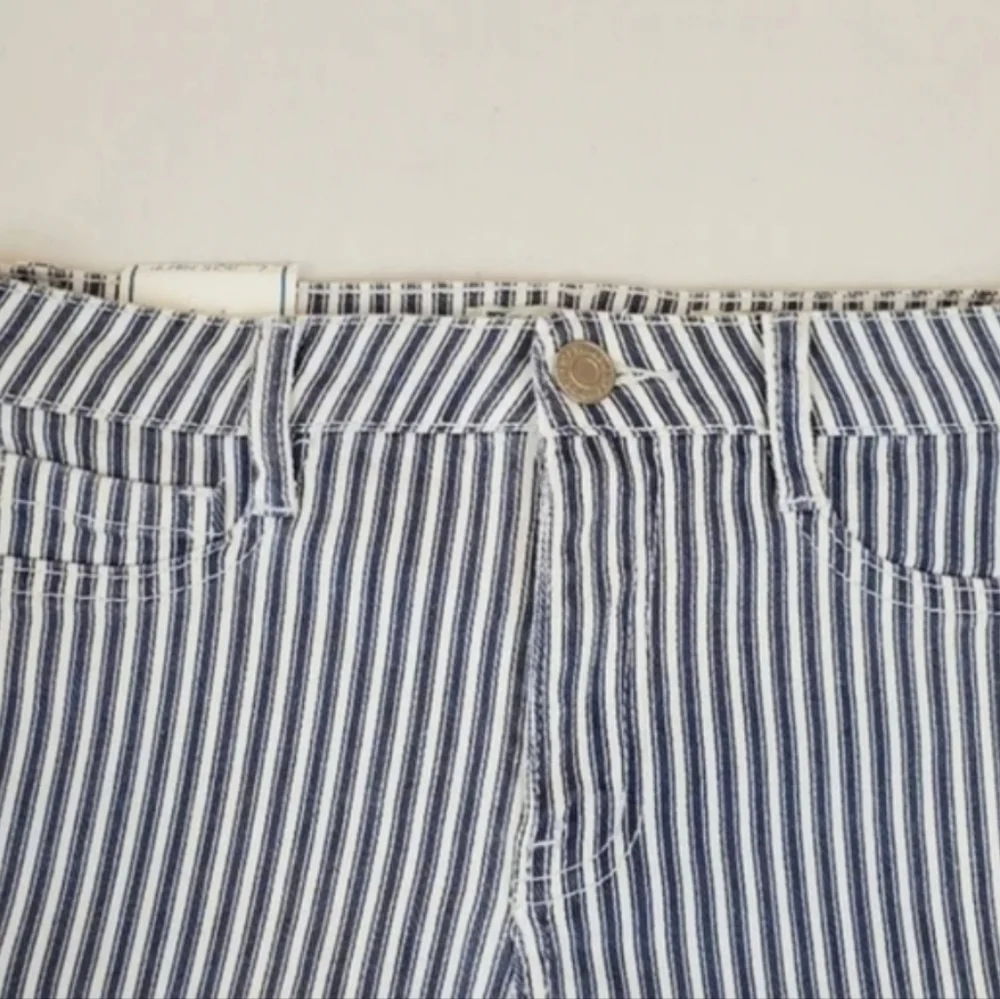 Indigo Rein stripe high rise shorts